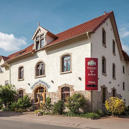Hotel Pfaffenhofen Schwabenheim an der Selz Exterior foto